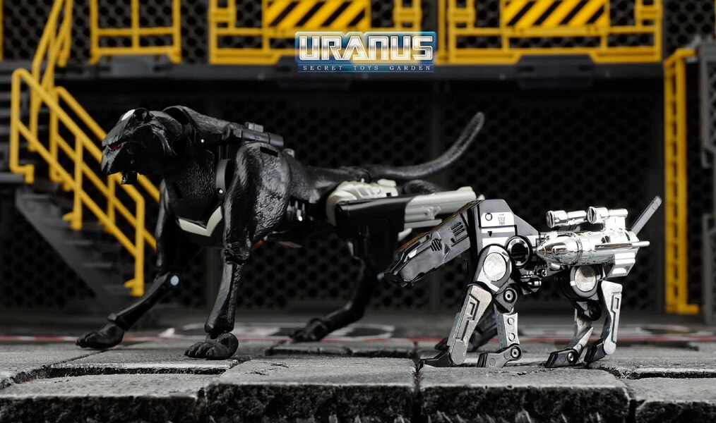 MORE Transformers Agent Ravage Images Cheetor Compared  (27 of 67)